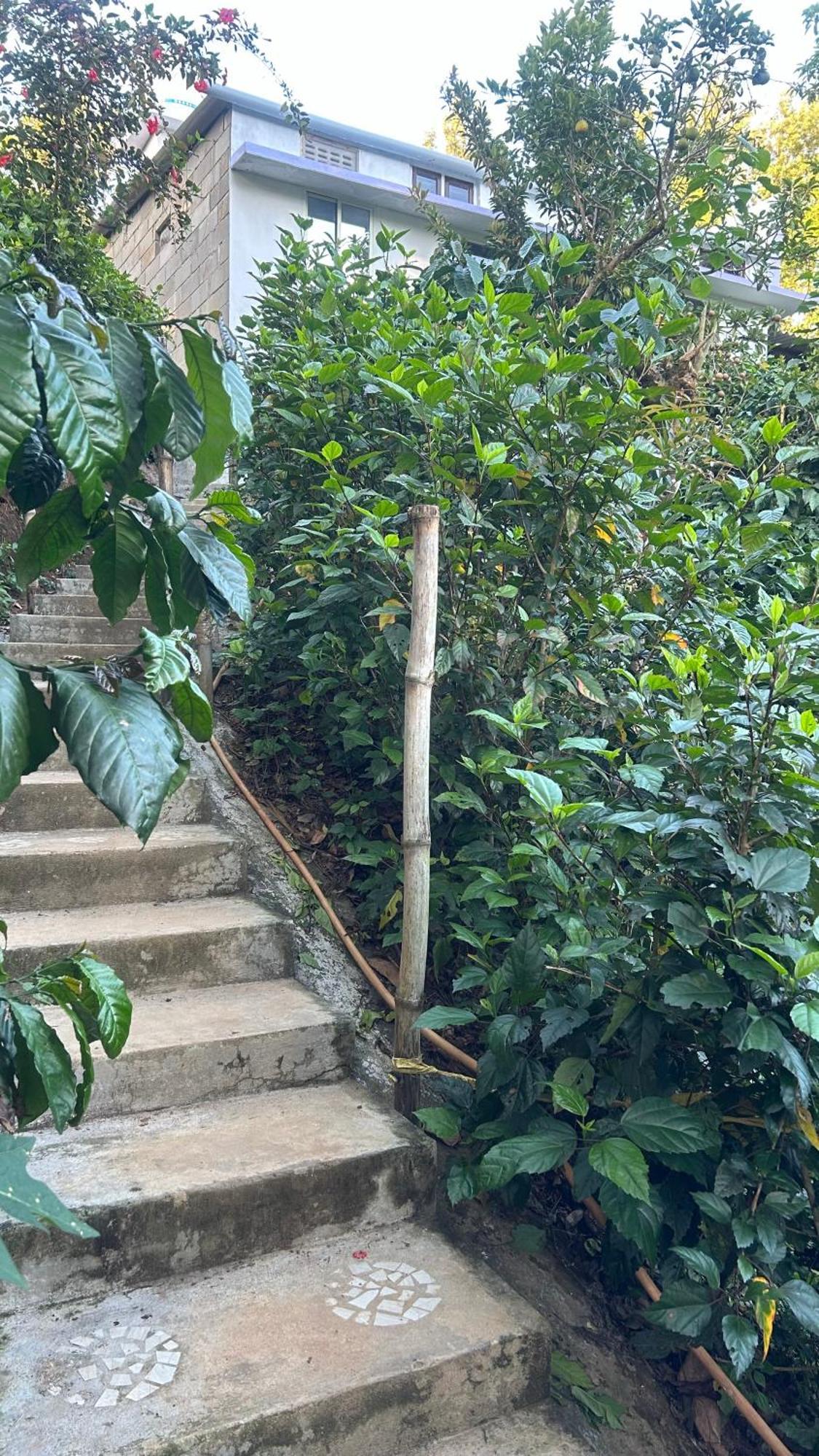Doddakallu Betta Homestay Coorg Somvarpet Exterior photo